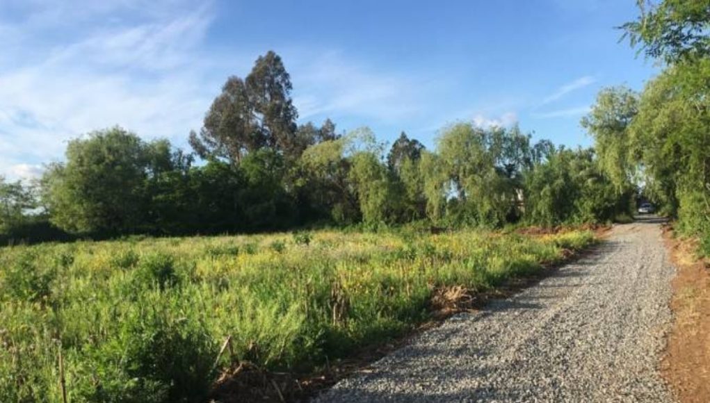 Screenshot_20200717-135020_Samsung Internet