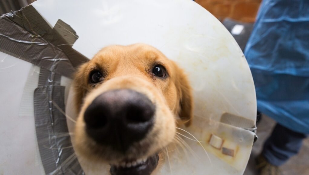 Screenshot_20200813-221156_Gmail