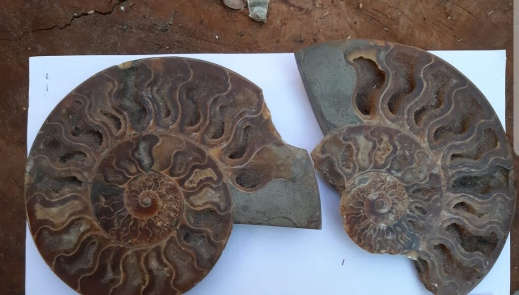 Screenshot_20200815-210647_Gmail