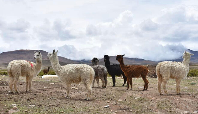 15B38F65-E699-47FE-94CB-DF11FD7AF319