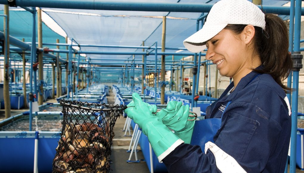 717045B3-6863-4B43-8394-B89B4D51C8A5