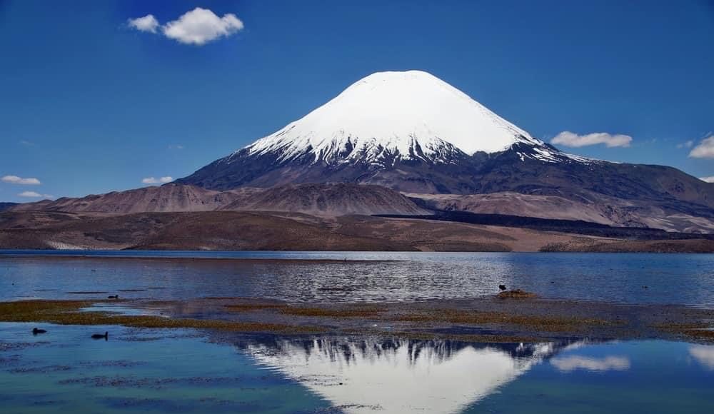 F29135D2-05E9-447C-A01C-EFA5D720291F