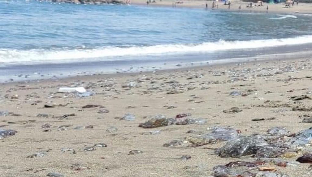 67BD7EA9-DCEC-468D-BA1B-52E08996CDE7