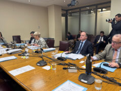 Senado abre debate histórico para que Arica y Parinacota tengan más autonomía y trato preferente del Estado como Isla de Pascua y Juan Fernández