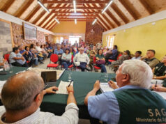 Agricultores de Codpa afectados con la mosca de la fruta claman por sus plantaciones