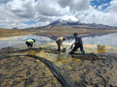 Se declara Alerta Amarilla para la Provincia de Parinacota ante accidente por material peligroso