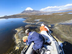 CONAF aceleró limpieza del Lago Chungará con apoyo de dos embarcaciones y contratación de empresa para extracción de aceite de soya