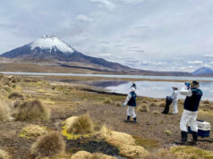 SAG refuerza acciones de rescate y monitoreo tras derrame de aceite de soya en sector Chungará