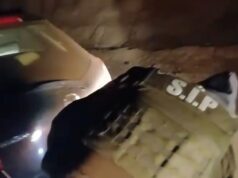 Carabineros recuperó otros dos vehículos robados cuando intentaban salir del territorio nacional