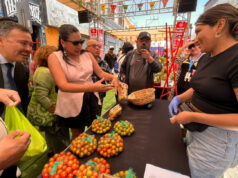 Mercado Campesino INDAP se consolida como espacio de comercialización