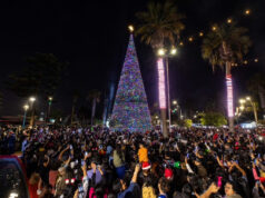 Concejales de Arica acompañan encendido del árbol navideño más grande del norte de Chile