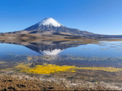 Emergencia en Chungará: CONAF informa retiro del 55% del material contaminante