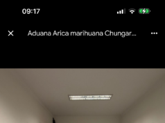 Aduana descubre 110 kilos de marihuana oculta entre cargamento de soya a granel