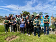 Arica inicia recambio de especies clave para el control de la Mosca de la Fruta en hito conjunto entre Municipio, SAG y CONAF