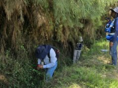 Seremi de Salud de Arica y Parinacota intensifica acciones de control tras hallazgo de mosquito Aedes vexans en desembocadura delrío Lluta