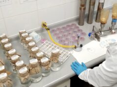 Laboratorio de Aguas del Altiplano renueva su acreditación hasta 2029