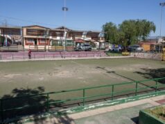 Repararán canchas del Parque Lauca