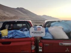 SAG interceptó 1.300 kilos de productos agrícolas ingresados de manera clandestina en la región de Arica y Parinacota