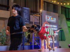 Para mascotas: artesanas locales exhiben productos innovadores elaborados con fibras de alpaca