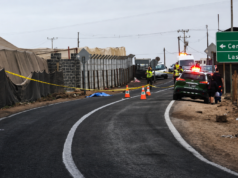 Conductor se da a la fuga tras fatal atropello en el valle de Azapa