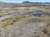 El cambio climático ya golpea al altiplano, Putre enfrentará más sequías y menos agua