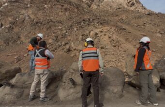 Autoridades llaman a la prevención tras desprendimiento de rocas en el Morro de Arica