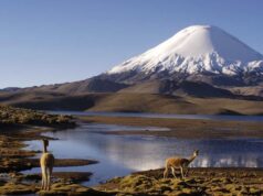 Decretan cierre temporal de parques nacionales en el altiplano de Arica y Parinacota ante alerta por frente de mal tiempo