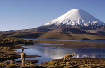 Decretan cierre temporal de parques nacionales en el altiplano de Arica y Parinacota ante alerta por frente de mal tiempo