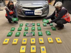 Interpretación de imágenes de camión escáner permite detectar más de 30 kilos de cocaína ocultos en vehículo en Chacalluta