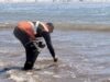 Aguas del Altiplano refuerza monitoreo permanente a emisario con toma de muestras en sector del litoral