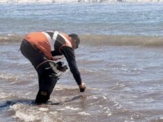 Aguas del Altiplano refuerza monitoreo permanente a emisario con toma de muestras en sector del litoral