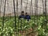Agricultura inicia catastro de agricultores y ganaderos afectados por evento hidrometeorológico de agosto