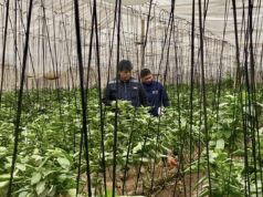 Agricultura inicia catastro de agricultores y ganaderos afectados por evento hidrometeorológico de agosto